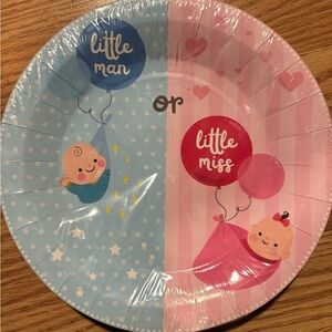 Gender reveal 8 inch dinner plates- 20 count Boy or Girl baby.